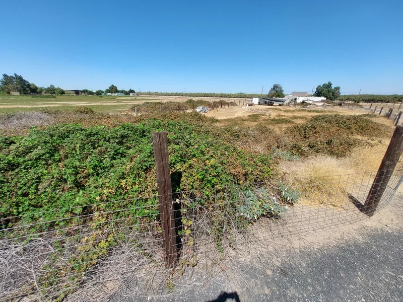 Blackberry Bush Mulching & Brush Removal — equipment and work-site context